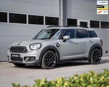 Mini Mini Countryman 2.0 Cooper S E ALL4 Chili I Pano I Head beschikbaar voor biedingen
