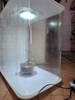 Biorb  flow 30 mcr wit, compleet met atributen, Dieren en Toebehoren, Ophalen, Gebruikt, Leeg aquarium