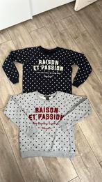 Scotch & soda S twee truien met stipjes blauw/ grijs, Kleding | Dames, Truien en Vesten, Ophalen of Verzenden, Zo goed als nieuw