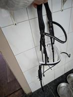 Zgan Kavalkade hoofdstel maat full., Ophalen, Zo goed als nieuw, Dressuur