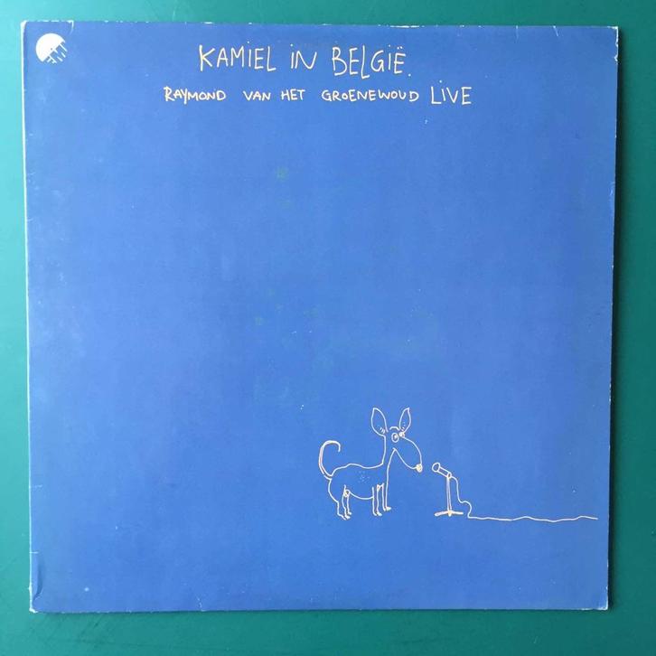 Raymond van het Groenewoud – Kamiel In België, Cd's en Dvd's, Vinyl | Nederlandstalig, Gebruikt, Pop, 12 inch, Verzenden