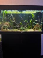 Juwel rio 125 + helialux met smartcontrol, Ophalen, Zo goed als nieuw