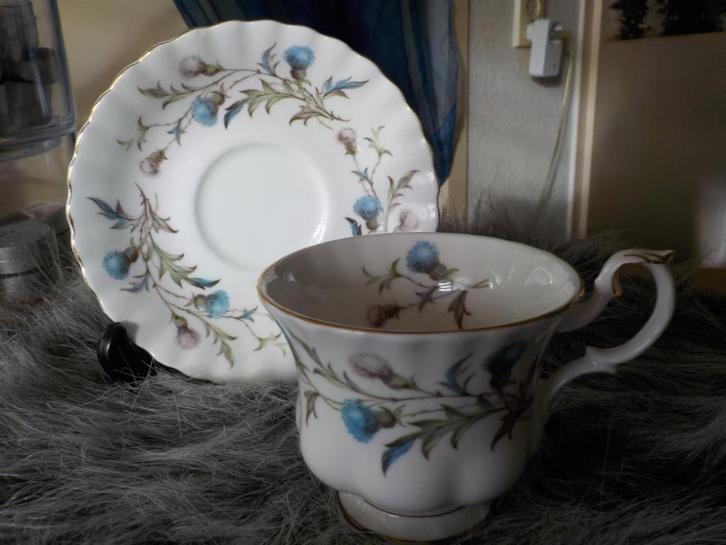 Royal Albert heren kop en schotels, Verzamelen, Porselein, Kristal en Bestek, Nieuw, Kop en/of schotel, Ophalen of Verzenden