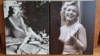 2 canvasdoeken Marilyn Monroe, Ophalen, Minder dan 50 cm, 50 tot 75 cm, Zo goed als nieuw