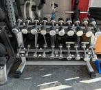 Technogym chrome dumbells 1-10 kg incl dumbell  rek, Ophalen, Dumbbell, 1-10 kg chrome dumbells, Incl rek