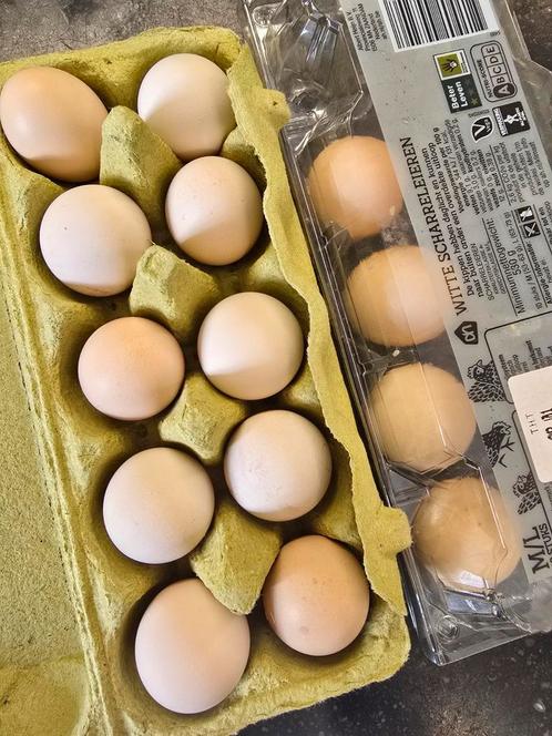 Broedeieren usa zijdehoen, Dieren en Toebehoren, Pluimvee, Overige soorten, Geslacht onbekend