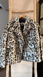 Alix the label jas - Nieuw!, Ophalen of Verzenden, Nieuw, Maat 36 (S), Overige kleuren