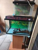 2 Aquariums en Meubels te koop, Dieren en Toebehoren, Ophalen, Gebruikt, Leeg aquarium