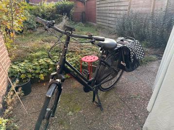 Mooie nette goeie stella vincenza black fdst superior beschikbaar voor biedingen