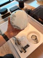 Gouden Hanglamp met Getint Glas - Botanisch Design, Ophalen, Nieuw, Glas, Minder dan 50 cm