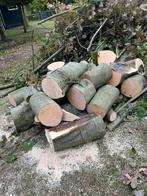 bomen snoeien/ bomen kappen, Tuin en Terras, Ophalen of Verzenden