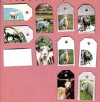 0263) geiten, bokken, schapen labeltjes, Ophalen of Verzenden, Zo goed als nieuw, Overige typen