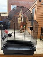 Parkiet kooi zo goed als nieuw! & speelgoed, Ophalen of Verzenden, Zo goed als nieuw, Metaal, Vogelkooi