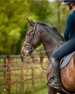 Schockemohle hoofdstel bruin Full, Dieren en Toebehoren, Paarden en Pony's | Hoofdstellen en Tuigage, Ophalen of Verzenden, Zo goed als nieuw