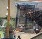 Vogel voliere zonder vogels, Dieren en Toebehoren, Vogels | Hokken en Kooien, Ophalen, Aluminium, Volière