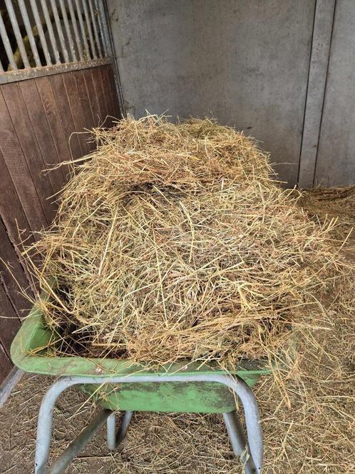Biologisch paardenhooi in midi balen, Dieren en Toebehoren, Dierenvoeding, Vee, Ophalen