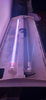 Aquarium LED lampen, Dieren en Toebehoren, Vissen | Aquariumvissen, Vis