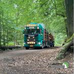 Brandhout stamhout, Tuin en Terras, Haardhout, 6 m³ of meer, Verzenden, Eikenhout, Stammen