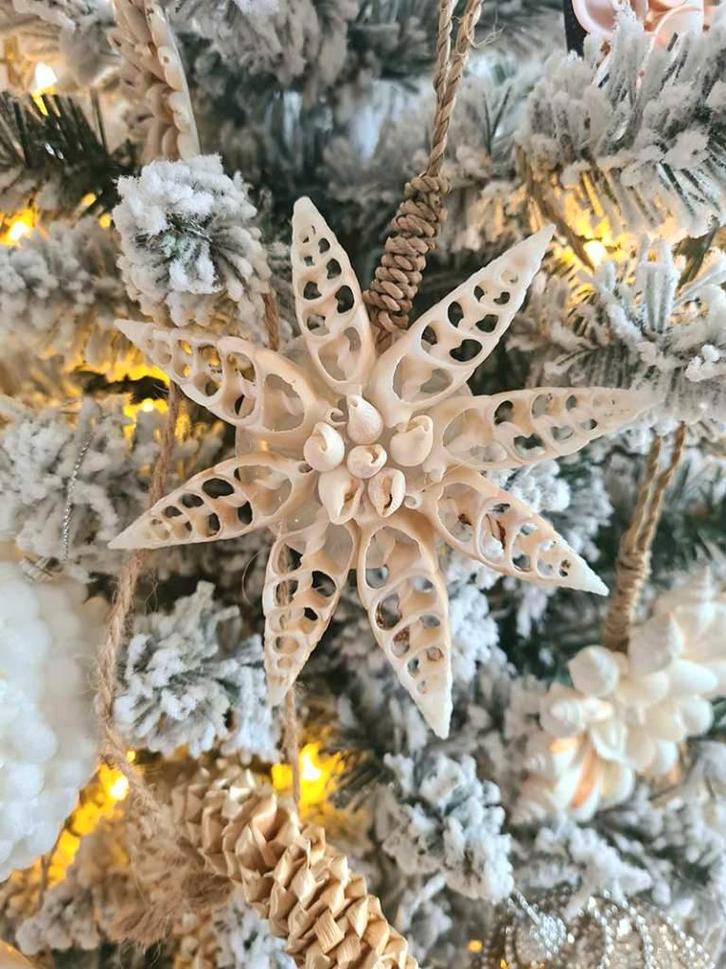 Schelpen hanger Sunila uit Bali, Diversen, Kerst, Nieuw, Ophalen of Verzenden