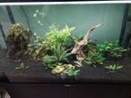 Juwel rio 125 + onderkast + pomp, Dieren en Toebehoren, Vissen | Aquaria en Toebehoren, Ophalen, Zo goed als nieuw, Leeg aquarium