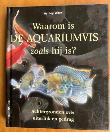 Waarom is de aquariumvis zoals hij is - Ashley Ward beschikbaar voor biedingen