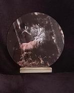 Glas spiegel edelhert er op te koop, Huis en Inrichting, Ophalen