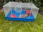 Kleine gevulde hamsterkooi, Kooi, Gebruikt, Minder dan 75 cm, Hamster