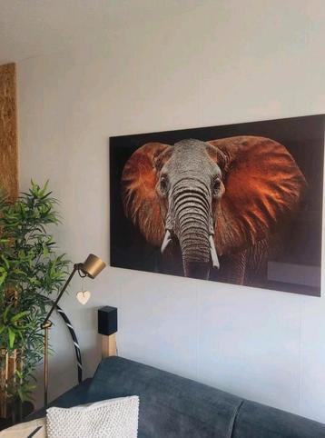 Mooi Glasschilderij Olifant 120x80  beschikbaar voor biedingen