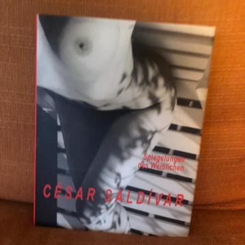 Fotoboek Spiegelungen des Weiblichen - Saldivar beschikbaar voor biedingen