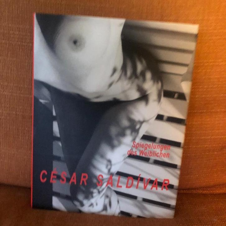 Fotoboek Spiegelungen des Weiblichen - Saldivar, Boeken, Kunst en Cultuur | Fotografie en Design, Zo goed als nieuw, Fotografie algemeen