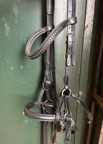 Hoofdstel sidepull bitloos beschikbaar voor biedingen