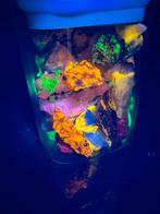 Grote pot met fel fluorescerende mineralen, lange golf uv., Ophalen of Verzenden