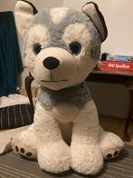 Schattige Husky Knuffel, Ophalen of Verzenden, Zo goed als nieuw, Hond