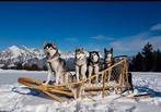 Honden slee, van Noort wooden sled, Dieren en Toebehoren, Honden-accessoires, Ophalen