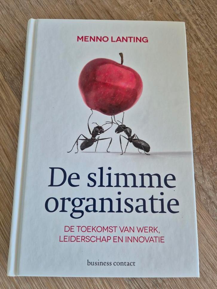 De Slimme Organisatie - Menno Lanting, Boeken, Economie, Management en Marketing, Zo goed als nieuw, Management, Ophalen of Verzenden