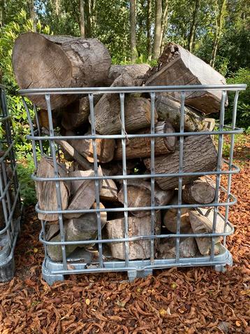 Brandhout haardhout stamhout boomstam beschikbaar voor biedingen
