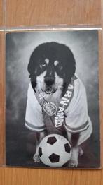 AJAX DIVERSE KAARTEN..DOOSJE, Verzamelen, Ophalen of Verzenden, Zo goed als nieuw, Ajax