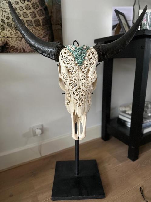 Buffelschedel / Skull, Huis en Inrichting, Woonaccessoires | Wanddecoraties, Zo goed als nieuw, Ophalen