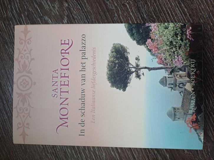 Santa Montefiore - In de schaduw van het palazzo, Boeken, Romans, Zo goed als nieuw, Ophalen