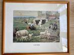 Nostalgische lijstjes., Minder dan 50 cm, Ophalen of Verzenden, Zo goed als nieuw, Minder dan 50 cm