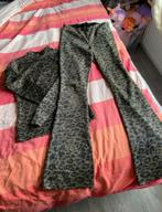 Glitterpak van red rouge maat S, Ophalen of Verzenden, Zo goed als nieuw, Maat 38/40 (M)