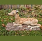 Snoezige opgezette bambi hert damhert Edelhert kalf kalfje, Verzamelen, Dierenverzamelingen, Ophalen of Verzenden, Gebruikt, Hert