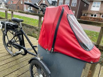 Tweedehands Elektrische bakfietsen  beschikbaar voor biedingen