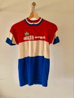 Wielertrui Jan Raas TI Raleigh - Campagnolo 1983 NK vintage, Fietsen en Brommers, Fietsaccessoires | Fietskleding, Bovenkleding
