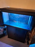 200 Liter  Aquarium compleet, Dieren en Toebehoren, Vissen | Aquaria en Toebehoren, Ophalen, Leeg aquarium