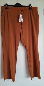 Nieuwe damesbroek Penn&Ink mt 44, Maat 42/44 (L), Nieuw, Ophalen of Verzenden, Lang