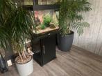 juwel aquarium/onderkast, geheel compleet, Dieren en Toebehoren, Vissen | Aquaria en Toebehoren, Ophalen, Gebruikt, Gevuld zoetwateraquarium