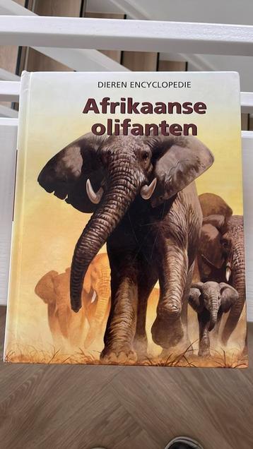 T. Ito - Afrikaanse Olifanten