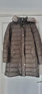 Groene donsjas Tommy Hilfiger maat small, Kleding | Dames, Ophalen of Verzenden, Maat 36 (S), Gedragen, Groen