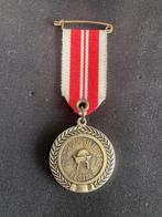 Carnaval onderscheiding de Druugsjliepers Mestreech-Eesjde, Ophalen of Verzenden, Overige materialen, Nederland